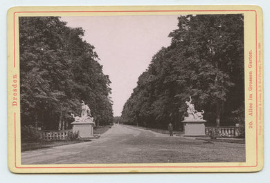 Photograph of Allee im Grossen Garten