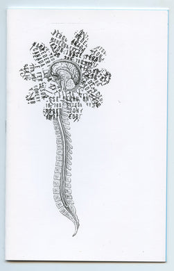 Nervous System