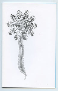 Nervous System