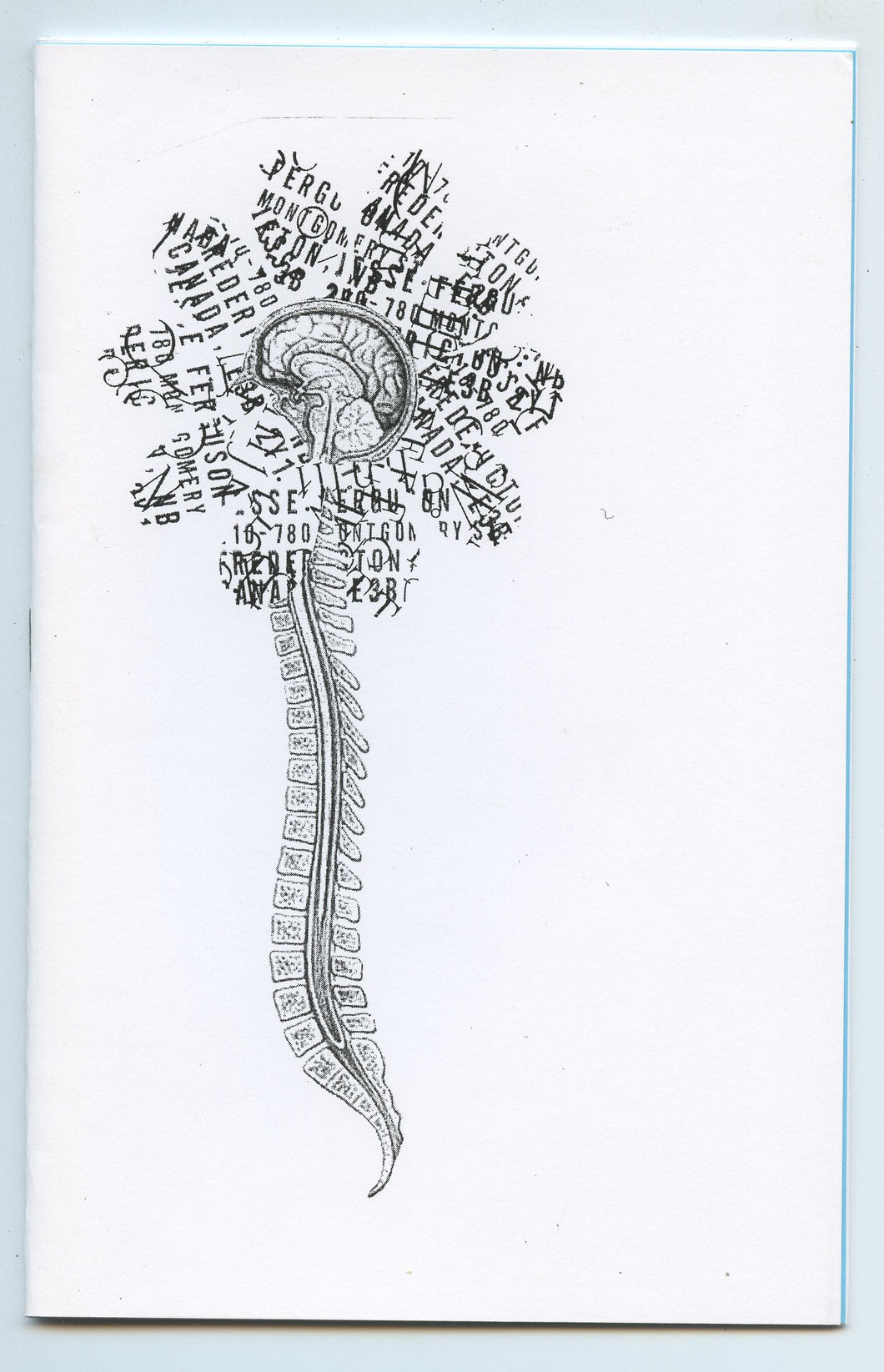 Nervous System