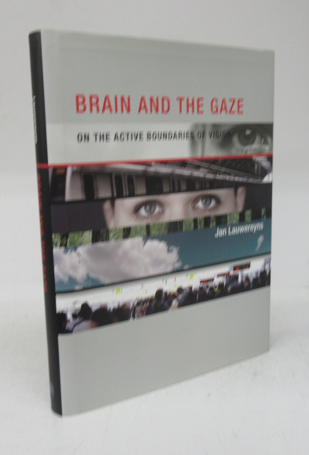 Brain and the Gaze: On the Active Boundaries of Vision