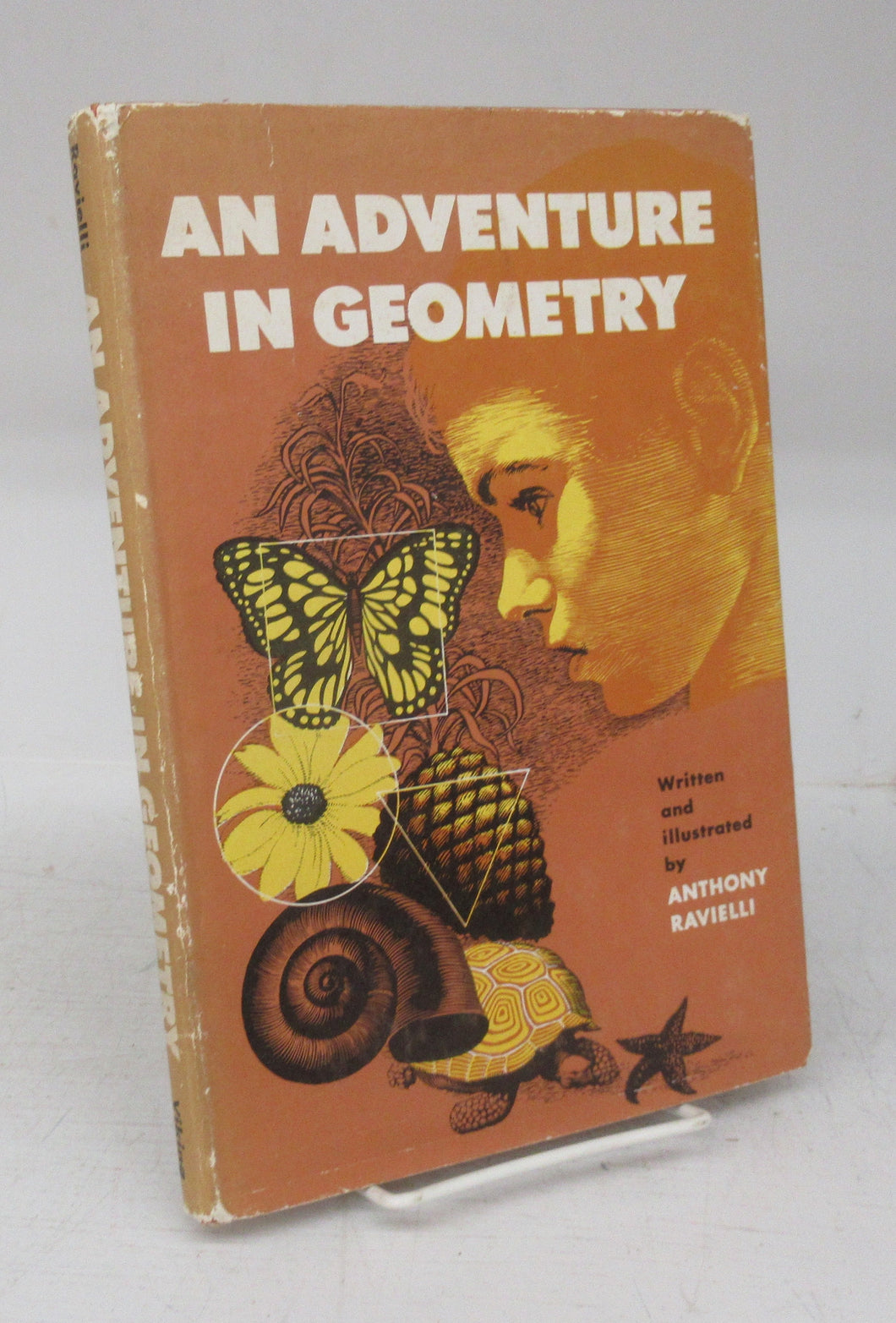 An Adventure in Geometry