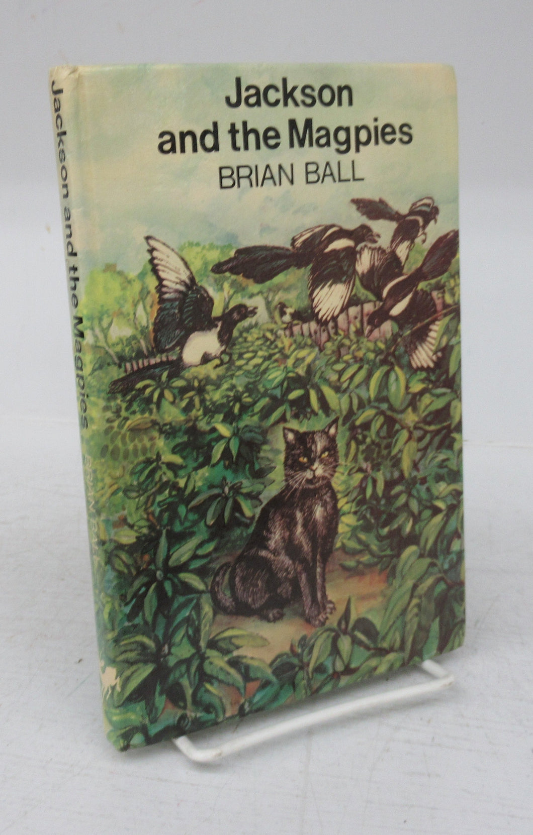 Jackson and the Magpies