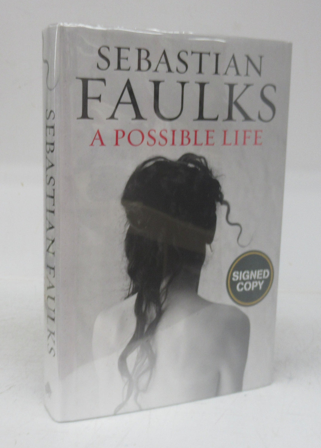 A Possible Life: A Novel in Five  Parts