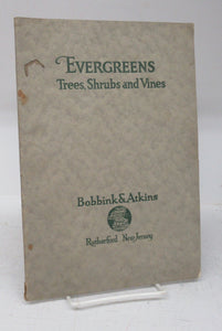 Evergreens: Trees, Shrubs and Vines