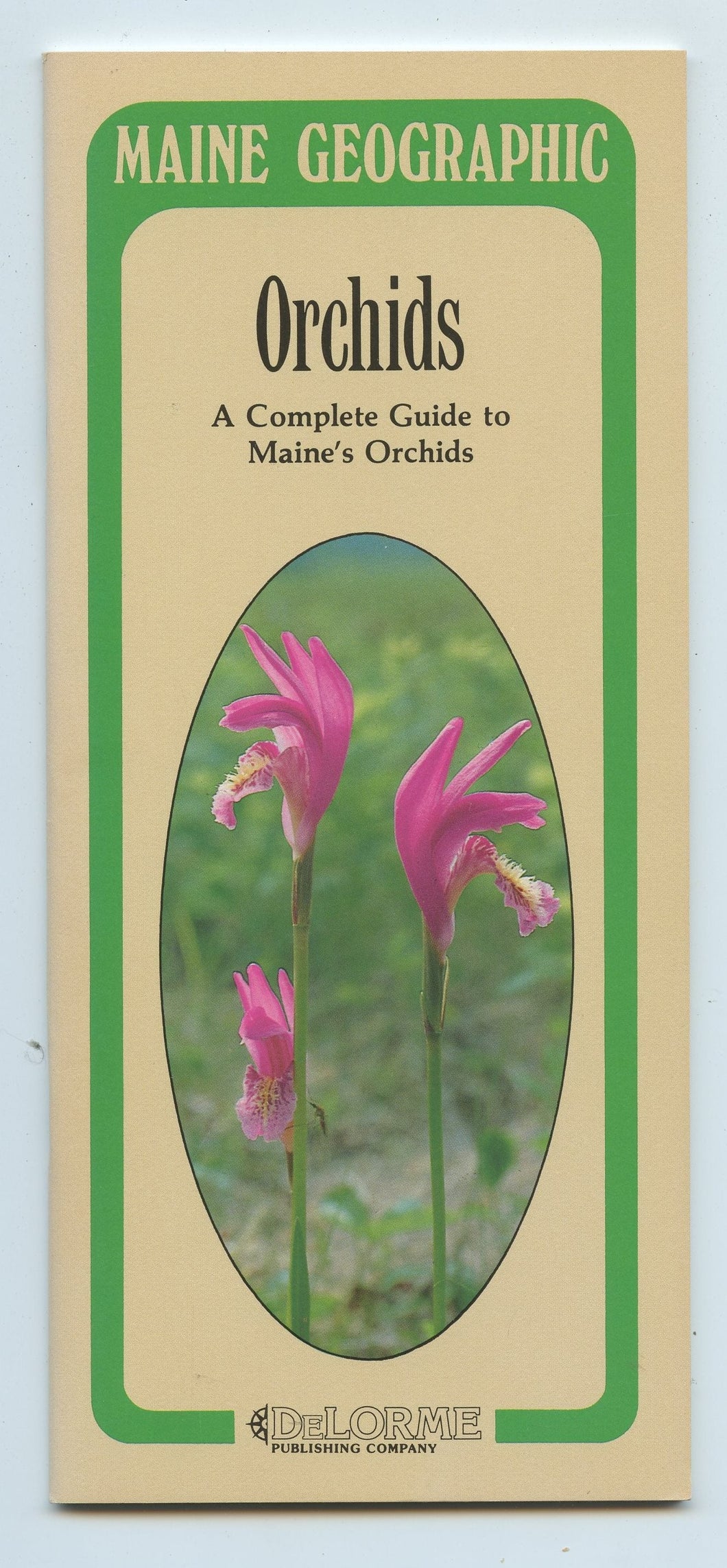 Orchids: A Complete Guide to Maine's Orchids