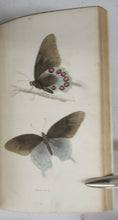 American Entomology. A Description of the Insects of North America. Vols. I & II