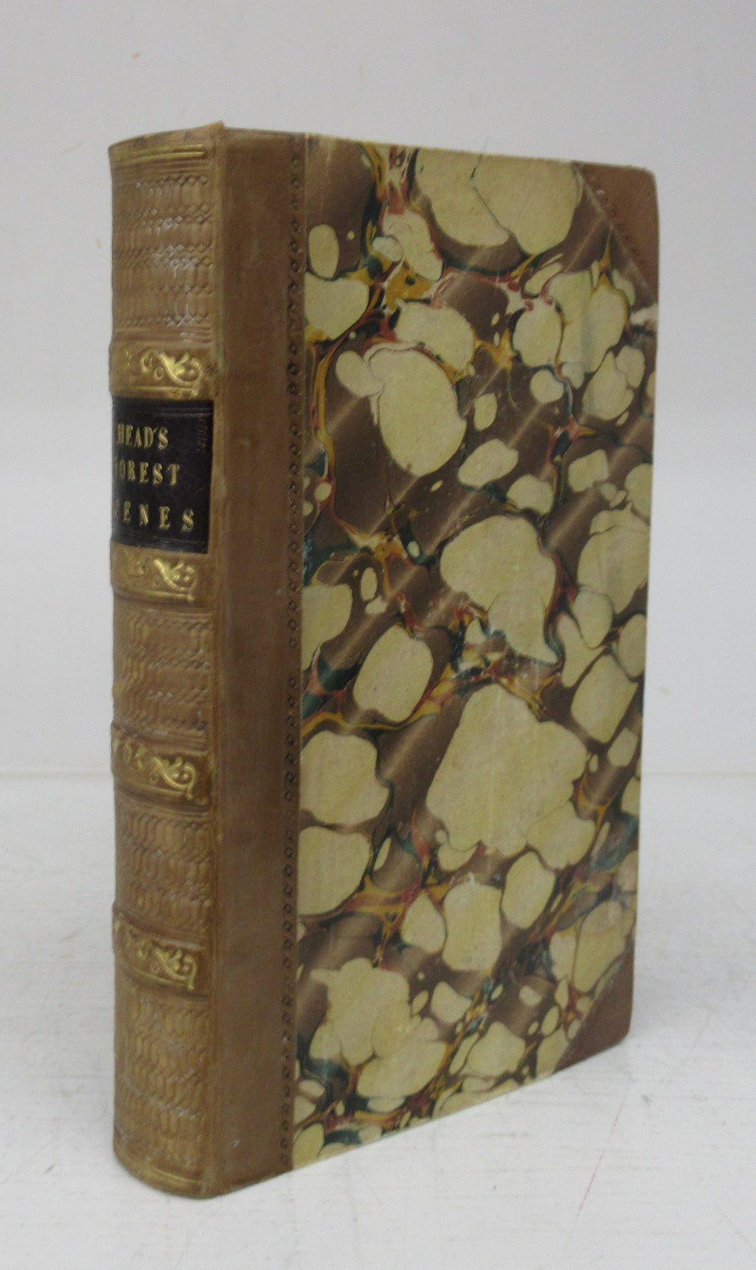 Forest Scenes and Incidents, in the Wilds of North America