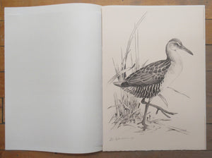 Rails of the World: A Monograph of the Family Rallidae. And a chapter on Fossil Species by Storrs L. Olson.