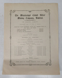 Mississippi Cobalt Silver Mining company prospectus