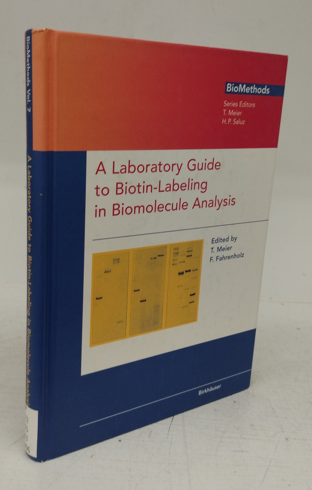 A Laboratory Guide to Biotin-Labeling in Biomolecule Analysis