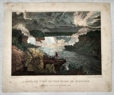 A Distant View of the Falls of Niagara