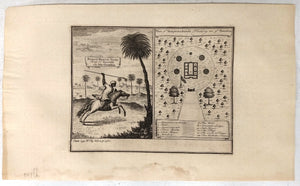 Bumey Haman Seaka, King of Barsalli on the Gambia; Plan of Yamyamakunda Factory on ye Gambia