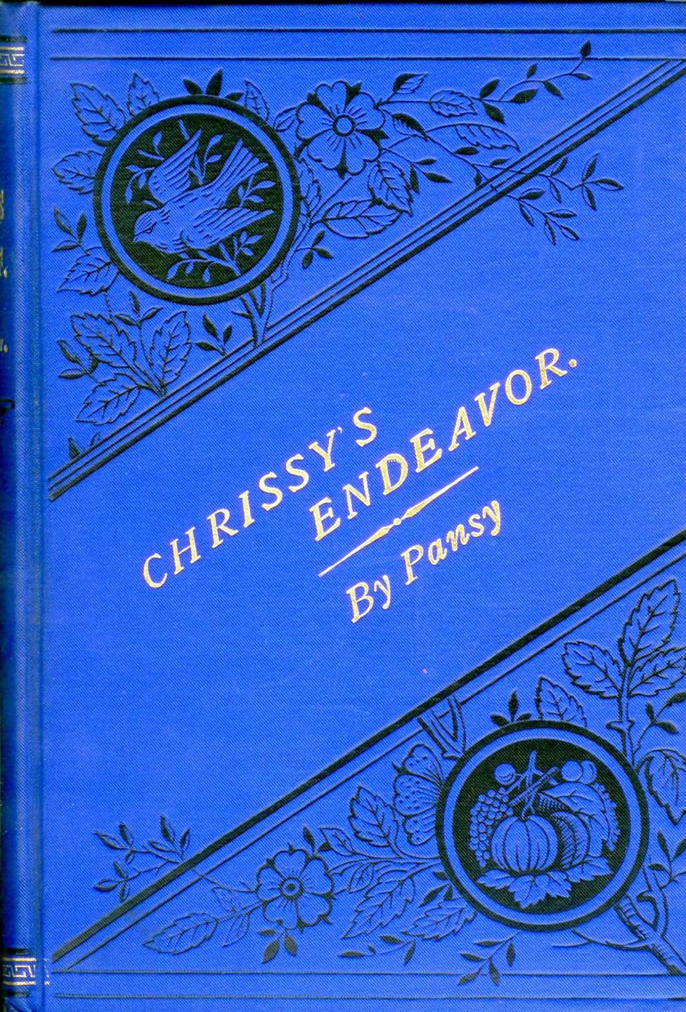 Chrissy's Endeavor