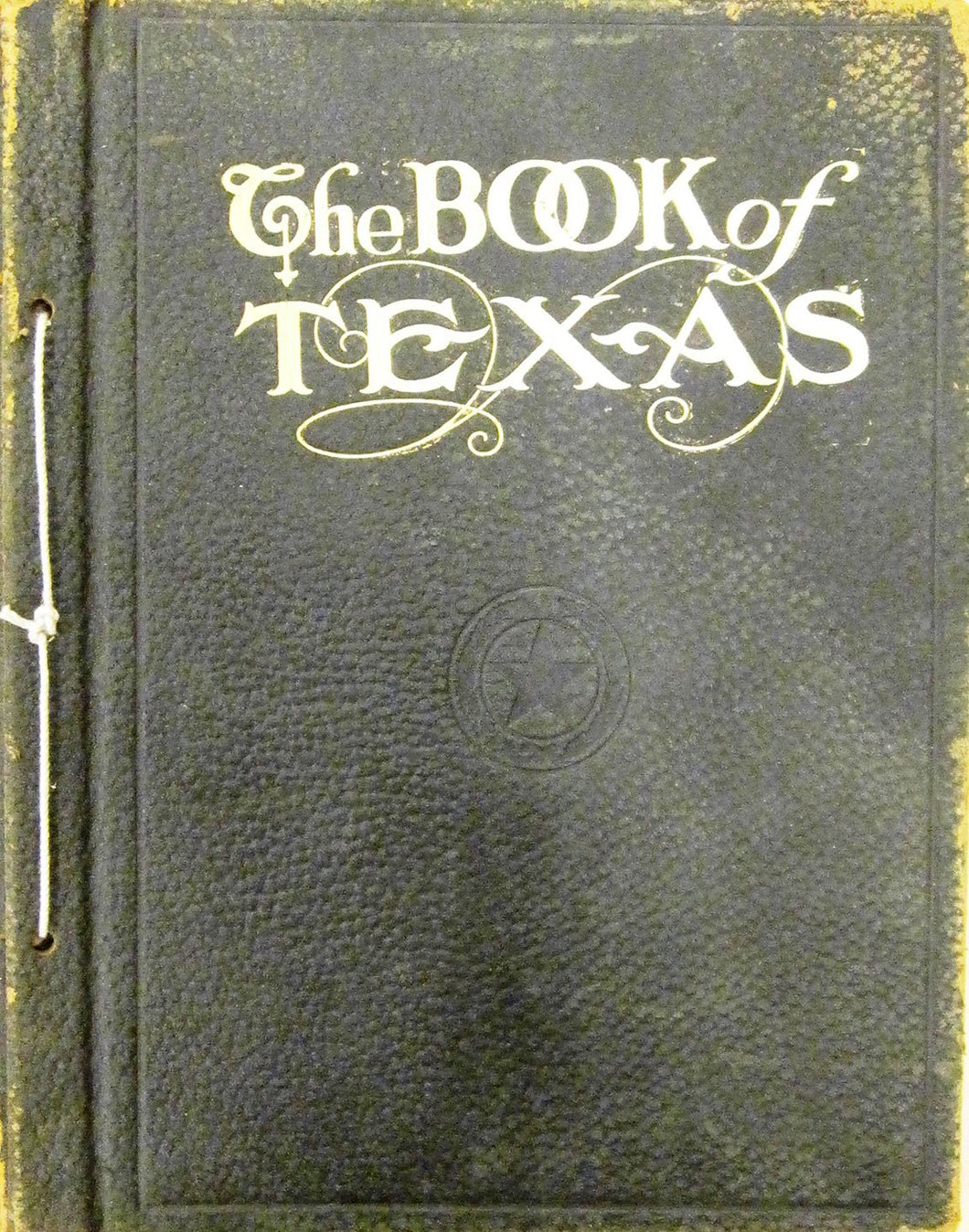 The Book of Texas: A Newspaper Reference Work