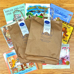 Children's Picture Book Mystery Bags